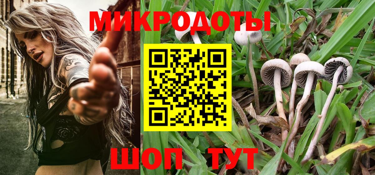 Галлюциногенные грибы Magic Shrooms  Вход с VPN  Псилоцибиновые грибы Psilocybine cubensis  Большой Камень 